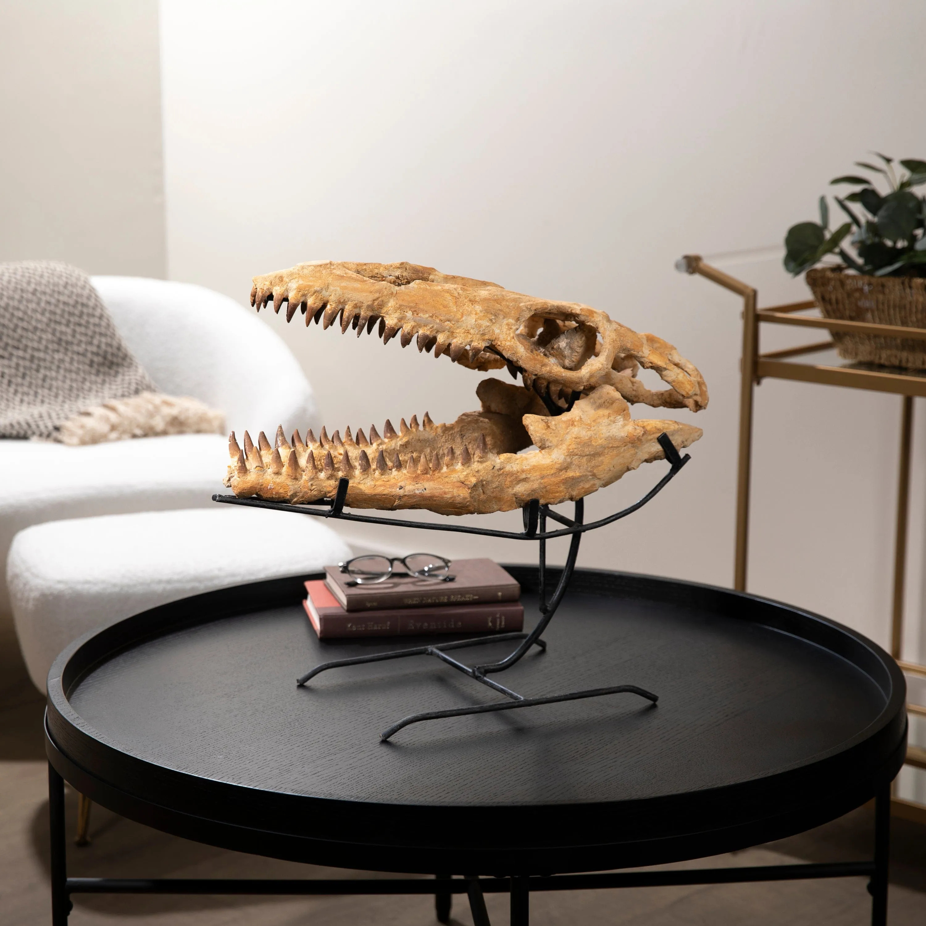 Moroccan Mosasaurus Jaw Fossil  on Custom Stand - 21